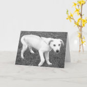 Gelbe Labrador Spaß/Denken Sie an Sie Karte (Gelbe Blume)