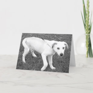 Gelbe Labrador Spaß/Denken Sie an Sie Karte