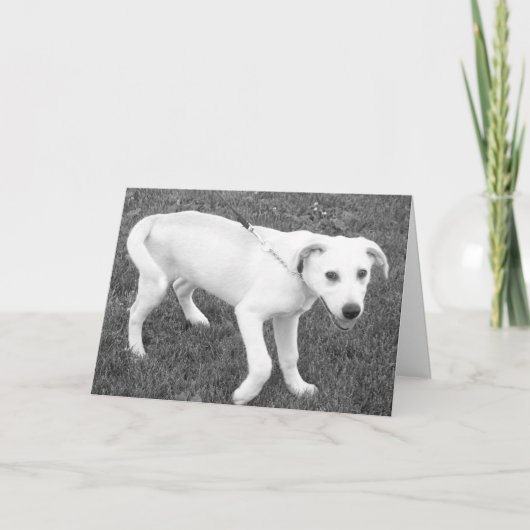 Gelbe Labrador Spaß/Denken Sie an Sie Karte (Vorderseite)
