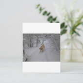 gelbe Labrador spielen im Winter Postkarte (Stehend Vorderseite)