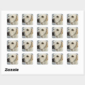 Gelbe Labrador Stickers (Blatt)