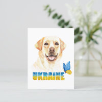 Gelbe Labrador und Schmetterling in der Ukraine