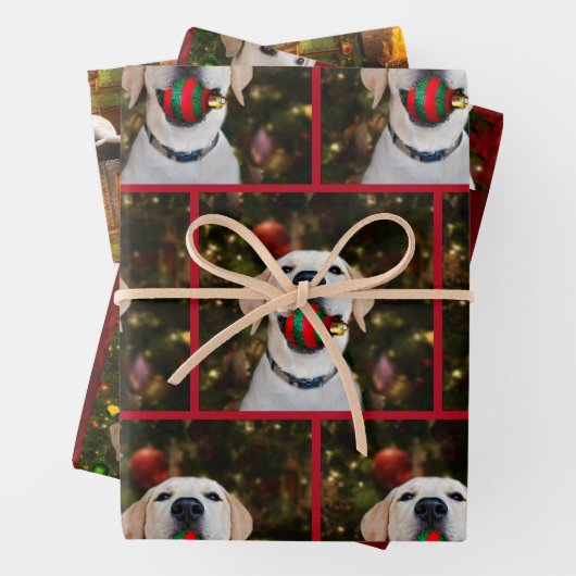 Gelbe Labrador Weihnachten Geschenkpapier Set (Beispiel)
