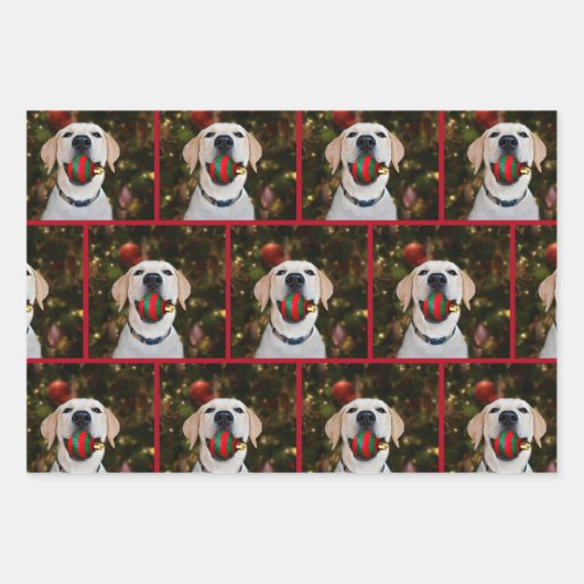 Gelbe Labrador Weihnachten Geschenkpapier Set (Vorderseite)