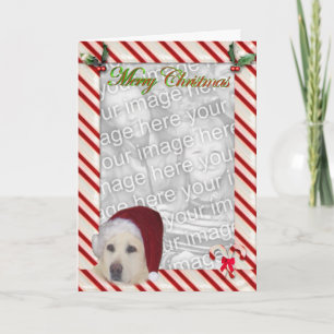 Gelbe Labrador Weihnachts-Vorlagenkarte Feiertagskarte