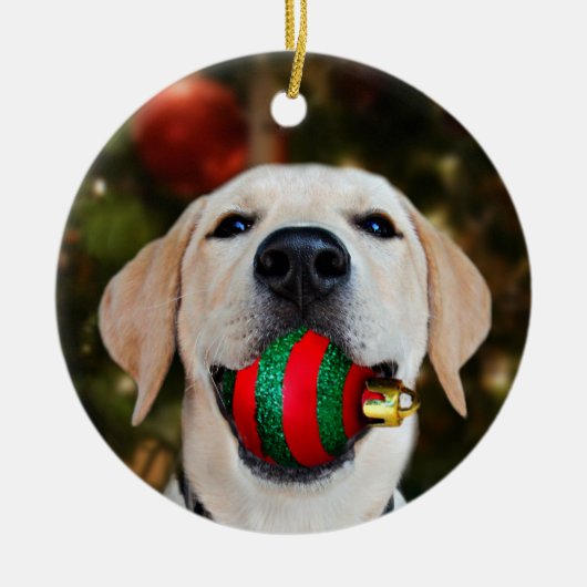 Gelbe Labrador Weihnachtsball Keramikornament (Vorne)