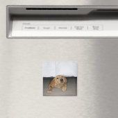 Gelbe Labrador Welpe im Bett stecken geblieben Magnet (In Situ (Geschirrspüler))