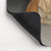Gelbe Labrador Welpe im Bett stecken geblieben Mousepad (Ecke)