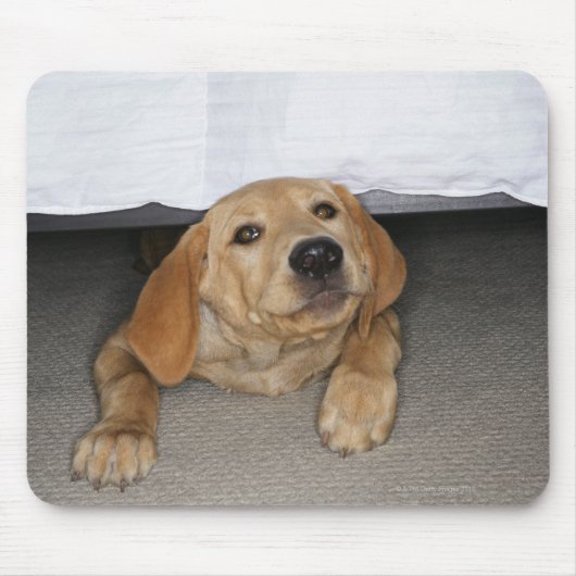 Gelbe Labrador Welpe im Bett stecken geblieben Mousepad (Vorne)