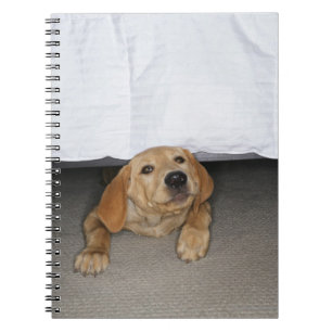 Gelbe Labrador Welpe im Bett stecken geblieben Notizblock