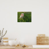 Gelbe Labrador Welpe im großen Gras Poster (Küche)