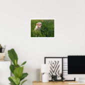 Gelbe Labrador Welpe im großen Gras Poster (Heimbüro)