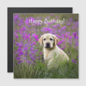 Gelbe Labrador Welpe Magnetic Magnetkarte (Vorne/Hinten)