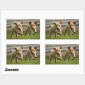 Gelbe Labrador-Welpen Rechteckiger Aufkleber (Blatt)