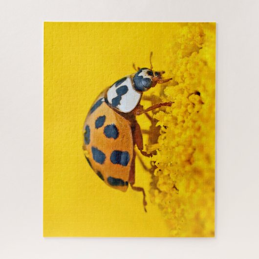 Gelbe Ladybird, Jigsaw Puzzle (Vertikal)