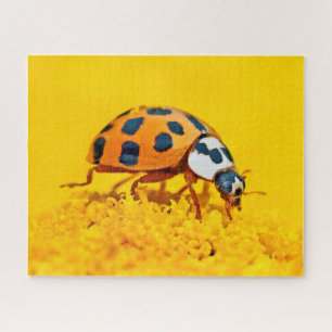 Gelbe Ladybird, Jigsaw Puzzle