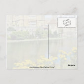 Gelbe Leeds Castle, Kent, England Blume Postkarte (Rückseite)