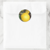 Gelbe Lemonen Runder Aufkleber (Tasche)