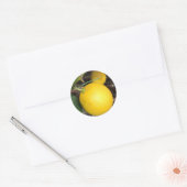 Gelbe Lemonen Runder Aufkleber (Umschlag)