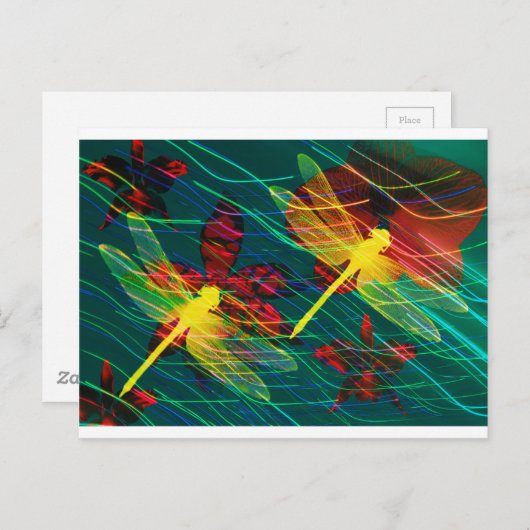 Gelbe Libdrachenfarben Postkarte (Vorne/Hinten)