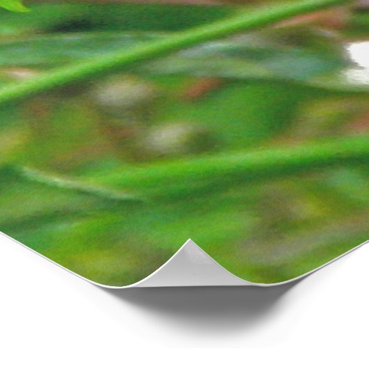 Gelbe Libfliege Poster (Ecke)