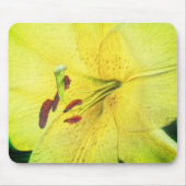 Gelbe Liege Blume Stift Art Mousepad (Vorne)