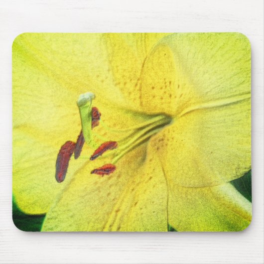Gelbe Liege Blume Stift Art Mousepad (Vorne)