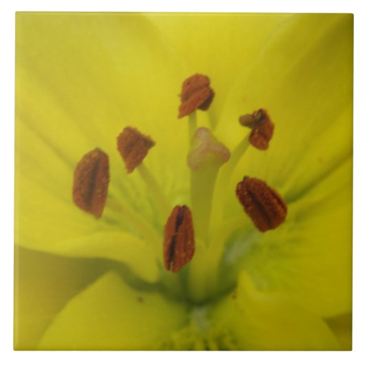 Gelbe Lilie Fliese (Vorderseite)