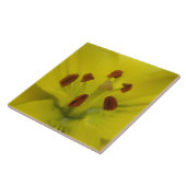 Gelbe Lilie Fliese (Seite)