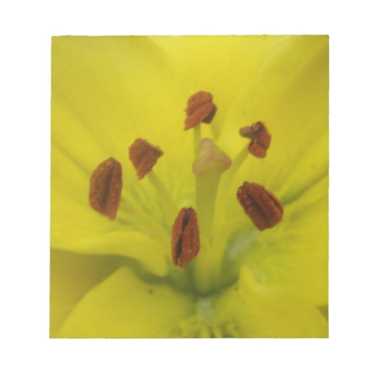 Gelbe Lilie, floraler Notepad Notizblock (Vorderseite)