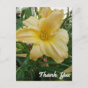 Gelbe Lilien-Blumen-Dankeschön-Postkarte Postkarte