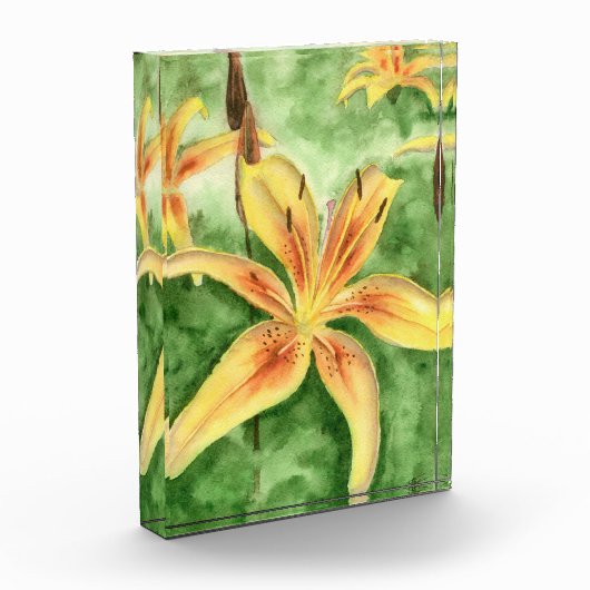 Gelbe Lilien im Garten Fotoblock (Links)