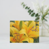 Gelbe Lilien Postkarte (Stehend Vorderseite)