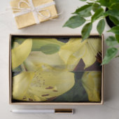 Gelbe Lilien Seidenpapier (Geschenk)