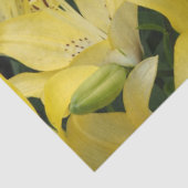 Gelbe Lilien Seidenpapier (Ausschnitt)