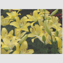 Gelbe Lilien Seidenpapier