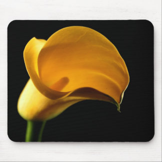 Gelbe Lilly Blume Hübsches Floral Mousepad
