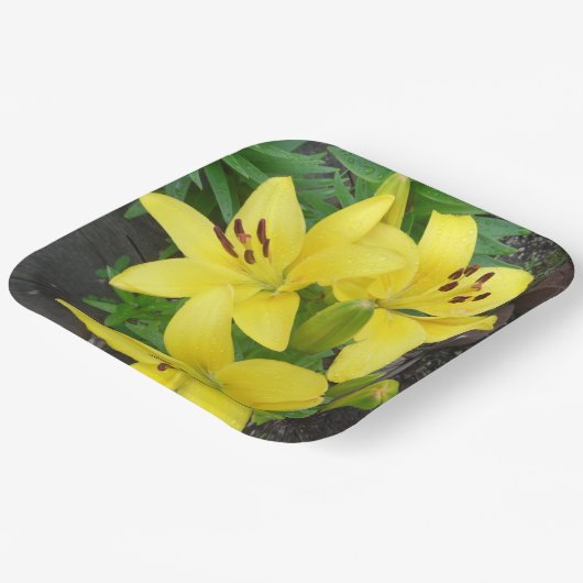 Gelbe Lilly-Papierplatte Pappteller (Gewinkelt)