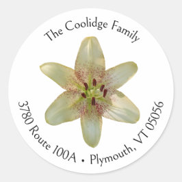 Gelbe Lily-Blume-Rundadressen-Etikett Runder Aufkleber