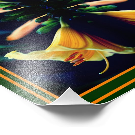 Gelbe Lily-Blume-Spiegel Abstrakt 8x10 Fotodruck (Ecke)