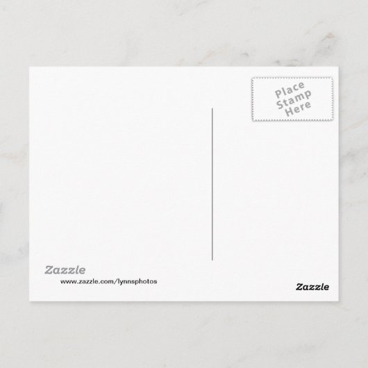 Gelbe Lippe Postkarte (Rückseite)