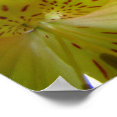 Gelbe Lippen Poster Print (Ecke)