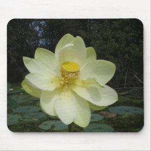 Gelbe Lotos-Blume Mousepad