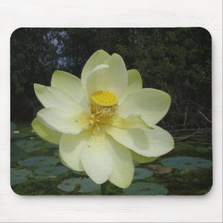 Gelbe Lotos-Blume Mousepad