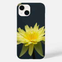 Gelbe Lotus-Wasserlilie
