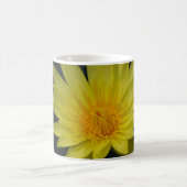 Gelbe Lotus-Wasserlilie Kaffeetasse (Mittel)