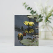 Gelbe Lotus Wasserlilien Postkarte (Stehend Vorderseite)