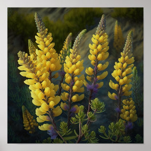 Gelbe Lupine Blume Art Print Poster
