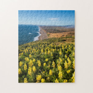 Gelbe Lupine oberhalb des Point Reyes-Strandes Puzzle