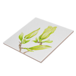 Gelbe Magnolien auf einer Keramik (2W) Fliese